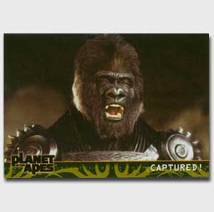 POTAM Gorilla Tracking Bug Image